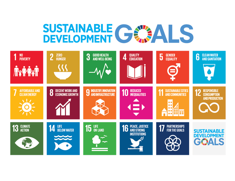 about the sustainable development goals